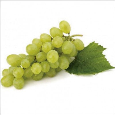 Uva Itália
