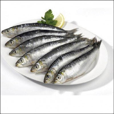Sardinha
