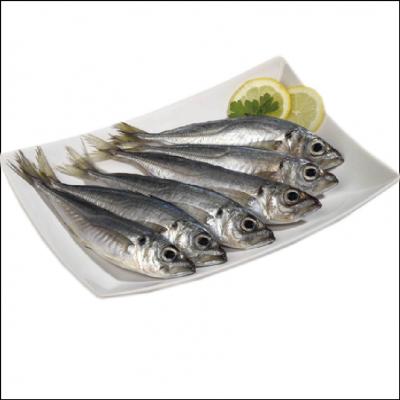 Sardinha