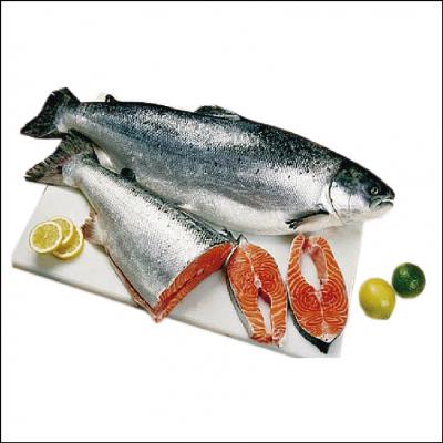 Salmão