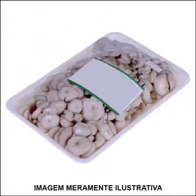 Cogumelo Shimeji