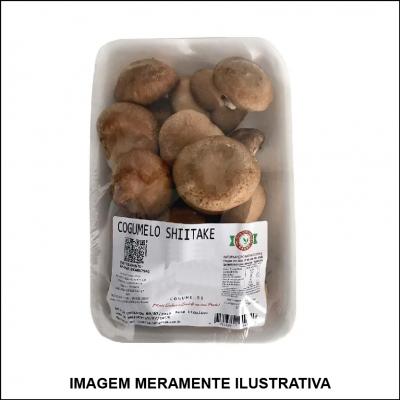 Cogumelo Shiitake