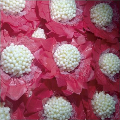 Ninho com Pérola - imagem 1