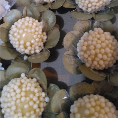 Ninho com Pérola - imagem 2