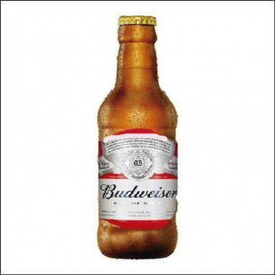 Cerveja Budweiser 300ml