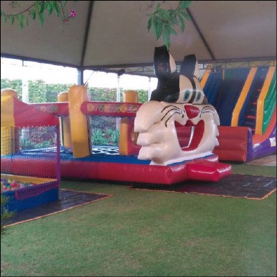 Gato Frajola - Locação