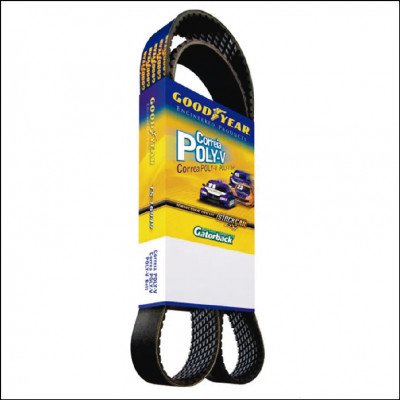 Correia Poly-V Alternador Goodyear