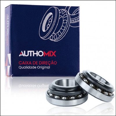 Caixa De Direção Authomix