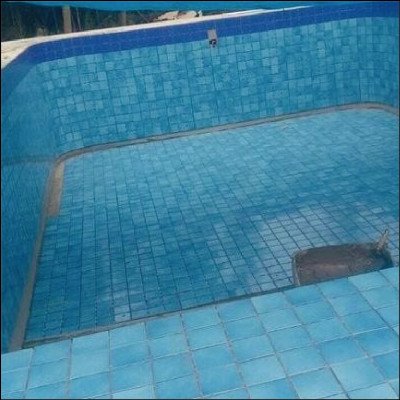 Revestimentos para Piscinas e Fachadas Strufaldi