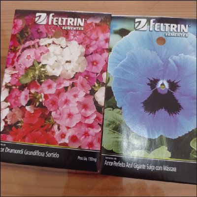 Sementes Feltrin Flores