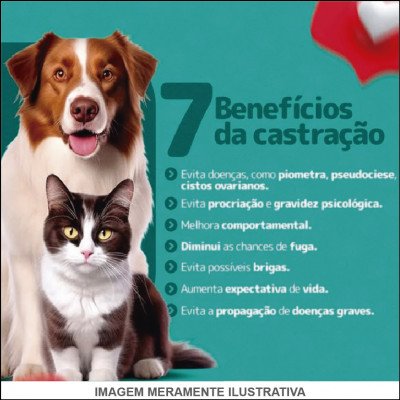 Ovariosalpingohisterectomia (OSH) / Castração
