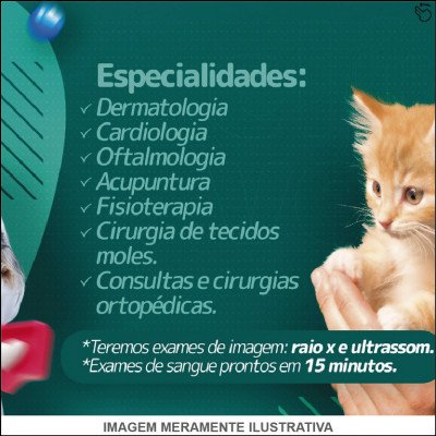 Especialidades