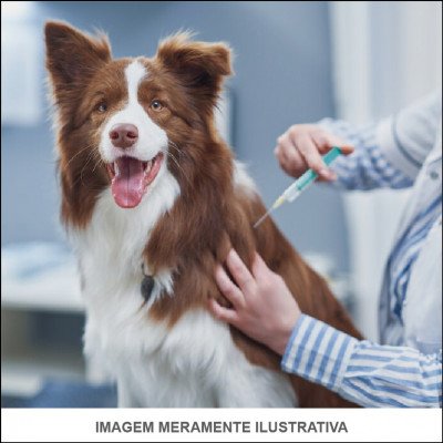 Vacinas Para Cães e Gatos