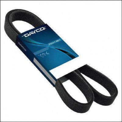 Correia Poly V Dayco
