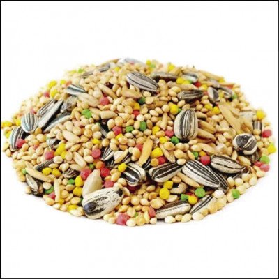 Mistura para Calopsitas