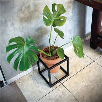 Suporte Decorativo em Metalon Para Vasos Sob Medida