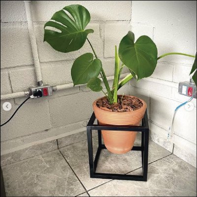 Suporte Decorativo em Metalon Para Vasos Sob Medida - imagem 1