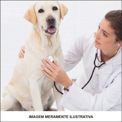 Consulta Veterinária