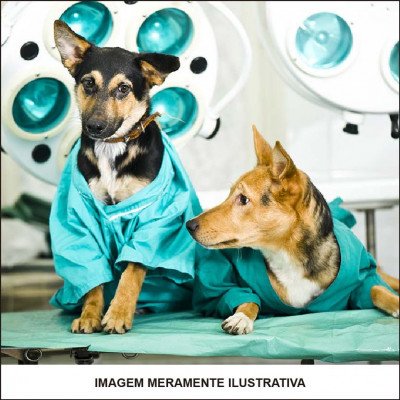 Cirurgia em Animais