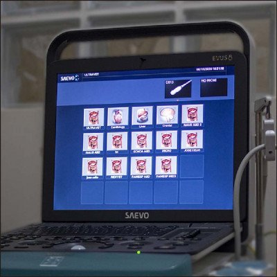 Ultrassonografia Veterinária - imagem 1