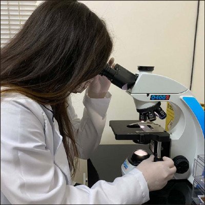 Laboratório Clínico Veterinário - imagem 1