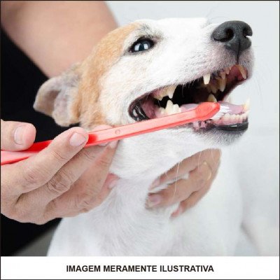 Limpeza de Dentes em Animais