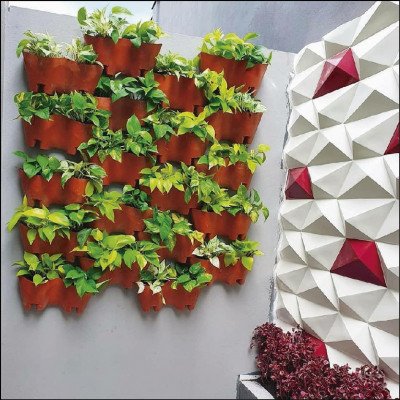 Jardim Vertical Composto por Jiboias e Iresines