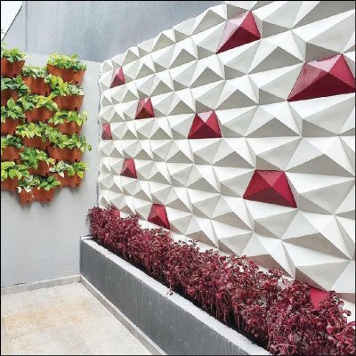 Jardim Vertical Composto por Jiboias e Iresines - imagem 1