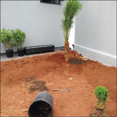 Jardinagem - imagem 1