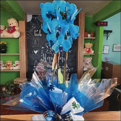 Orquídea Azul