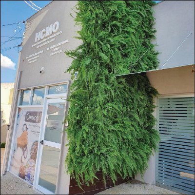 Jardim Vertical de Samambaias