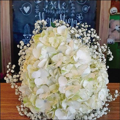 Buquê de Noiva de Hortênsias Brancas - imagem 1