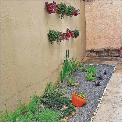 Jardinagem - imagem 1