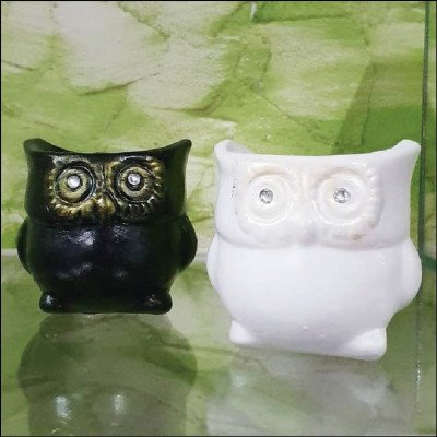 Cachepôs Personalizados em Louça - imagem 2