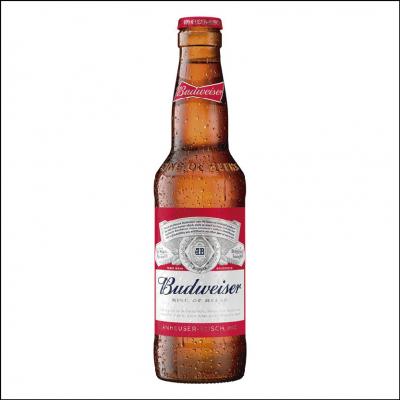 Cerveja Budweiser Long Neck