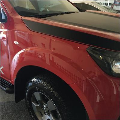 Vitrificação e Cristalização de Pintura - imagem 2