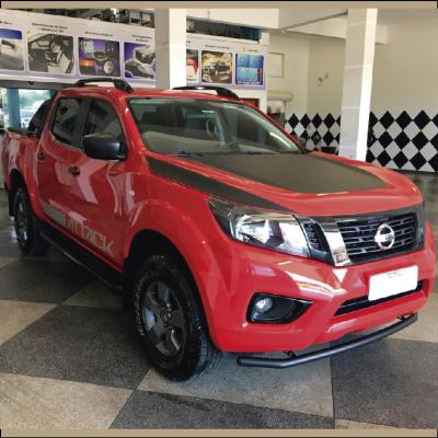 Vitrificação e Cristalização de Pintura