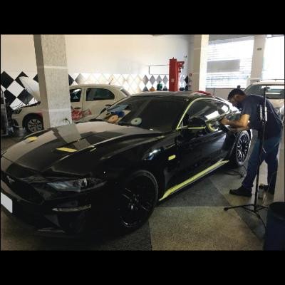 Vitrificação e Cristalização de Pintura