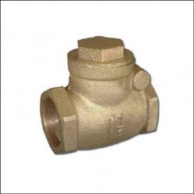 Válvula de Retenção Galvanizada 2.1/2