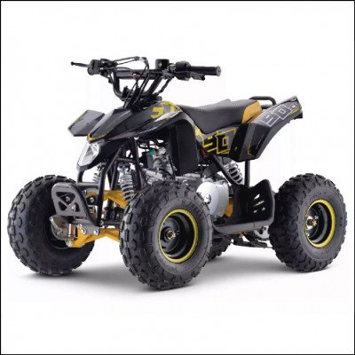 Quadriciclo Venda e Manutenção