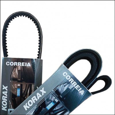 Correia Korax