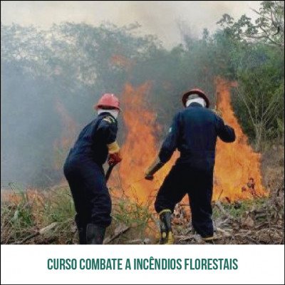 Curso Combate a Incêndios Florestais