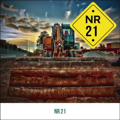 NR 21