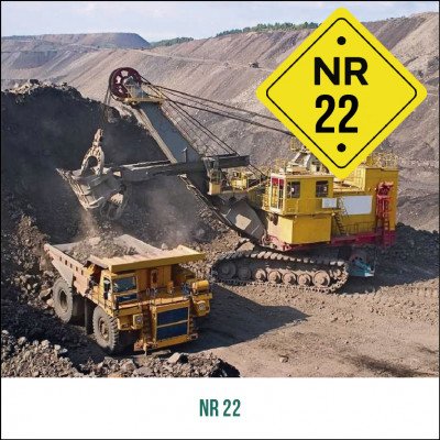 NR 22