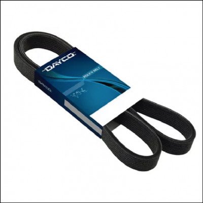 Correia Poly-V Alternador Dayco