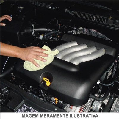 Limpeza Técnica de Motor